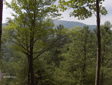 Mountain View Lot at Lake Toxaway - Highlands North Carolina Land - Cashiers North Carolina Properties - Mountain Land