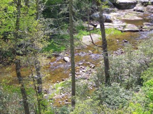 Fly Fishin Paradise!