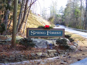 Spring Forest Homes