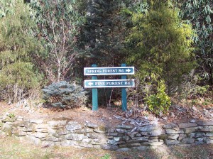 Cashiers Local Area Neighborhoods