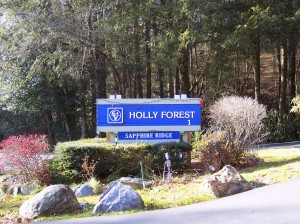 Cashiers Local Area Neighborhoods
