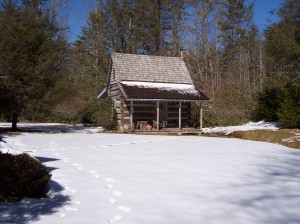 Separate Log Guest House