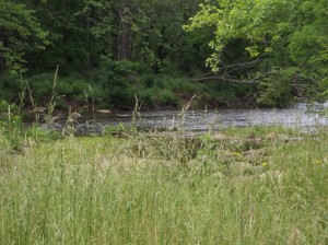 Cullasaja River Frontage