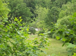 Cullasaja River in Highlands, NC