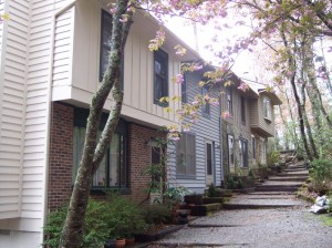 Highlands, NC Condo