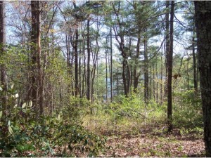 Wonderfully Level Building site in Lake Toxaway Estates