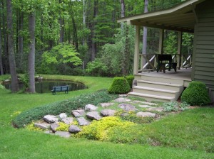 Picture Perfect Pond Setting