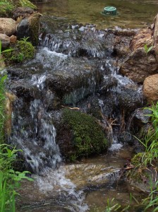 Waterfalls in Cashiers, NC