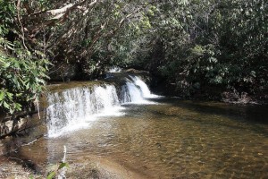 Waterfall on Burlingame Creek 